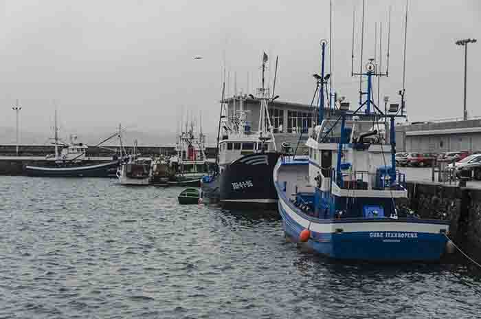 Guipúzcoa - Hondarribia 30 - puerto pesquero.jpg